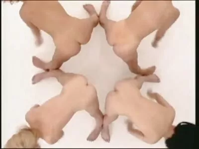 ផ្តល់ឱ្យ Slut មួយ Fuck ល្អ។